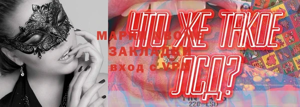 дмт Аркадак