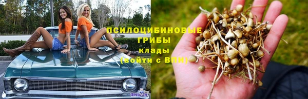 a pvp Арсеньев