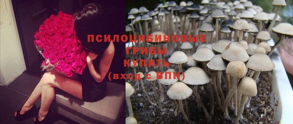 a pvp Арсеньев