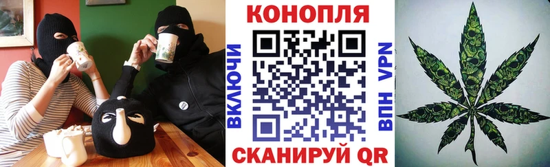 Шишки марихуана сатива Сафоново